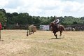 IMG_9419
