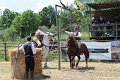 IMG_9421