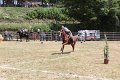 IMG_9432