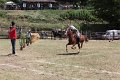 IMG_9433