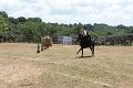 IMG_9436