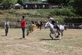 IMG_9441