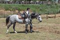 IMG_9445