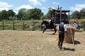 IMG_9450