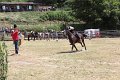IMG_9452