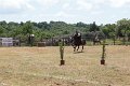 IMG_9454