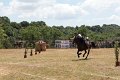 IMG_9455
