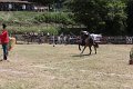IMG_9459