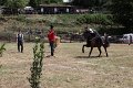 IMG_9460