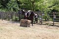 IMG_9461