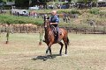 IMG_9466