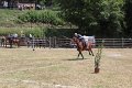 IMG_9470