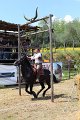 IMG_9489