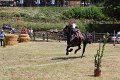 IMG_9491