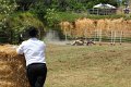 IMG_9500