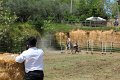 IMG_9501