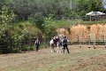 IMG_9502