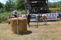 IMG_9505