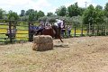IMG_9514