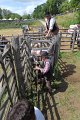 IMG_9546