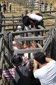 IMG_9551