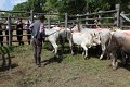 IMG_9552