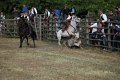 IMG_9752