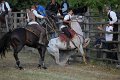 IMG_9754