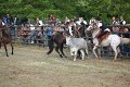 IMG_9760
