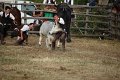 IMG_9768