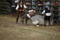 IMG_9774