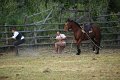 IMG_9800