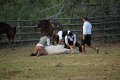 IMG_9813