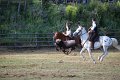 IMG_9817