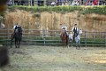 IMG_9828