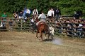 IMG_9829