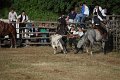 IMG_9833