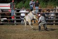 IMG_9837