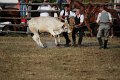 IMG_9838