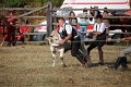 IMG_9844