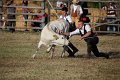 IMG_9845