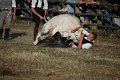 IMG_9849