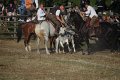 IMG_9864