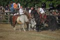 IMG_9865