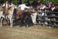 IMG_9866