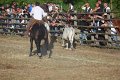 IMG_9867