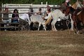 IMG_9869