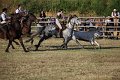 IMG_9876