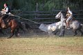 IMG_9878