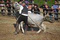 IMG_9907